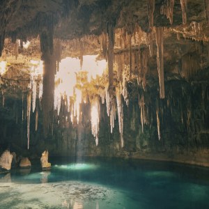 Un cenote de aguas verdes y transparentes rodeado de vegetación en la selva de Yucatán