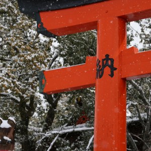 Puerta torii roja cubierta de nieve en un santuario japonés durante el invierno