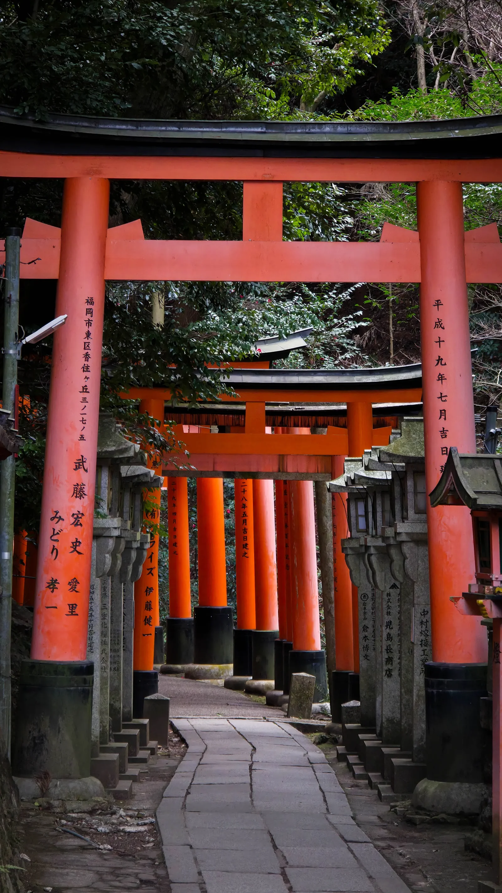 Túnel de torii rojos en el camino del santuario Fushimi Inari Taisha, en Kioto