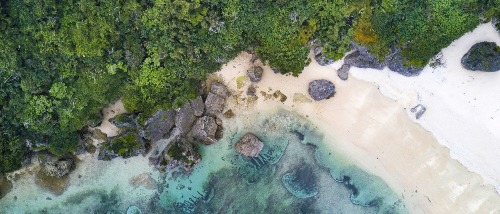 Vista aérea de las aguas turquesas del mar de Okinawa junto a la costa verde