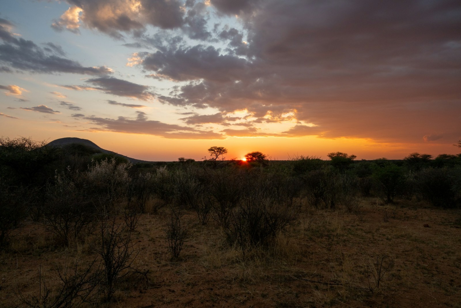 Puesta de sol dorada sobre la sabana africana, con la hierba seca iluminada por la luz del atardecer.