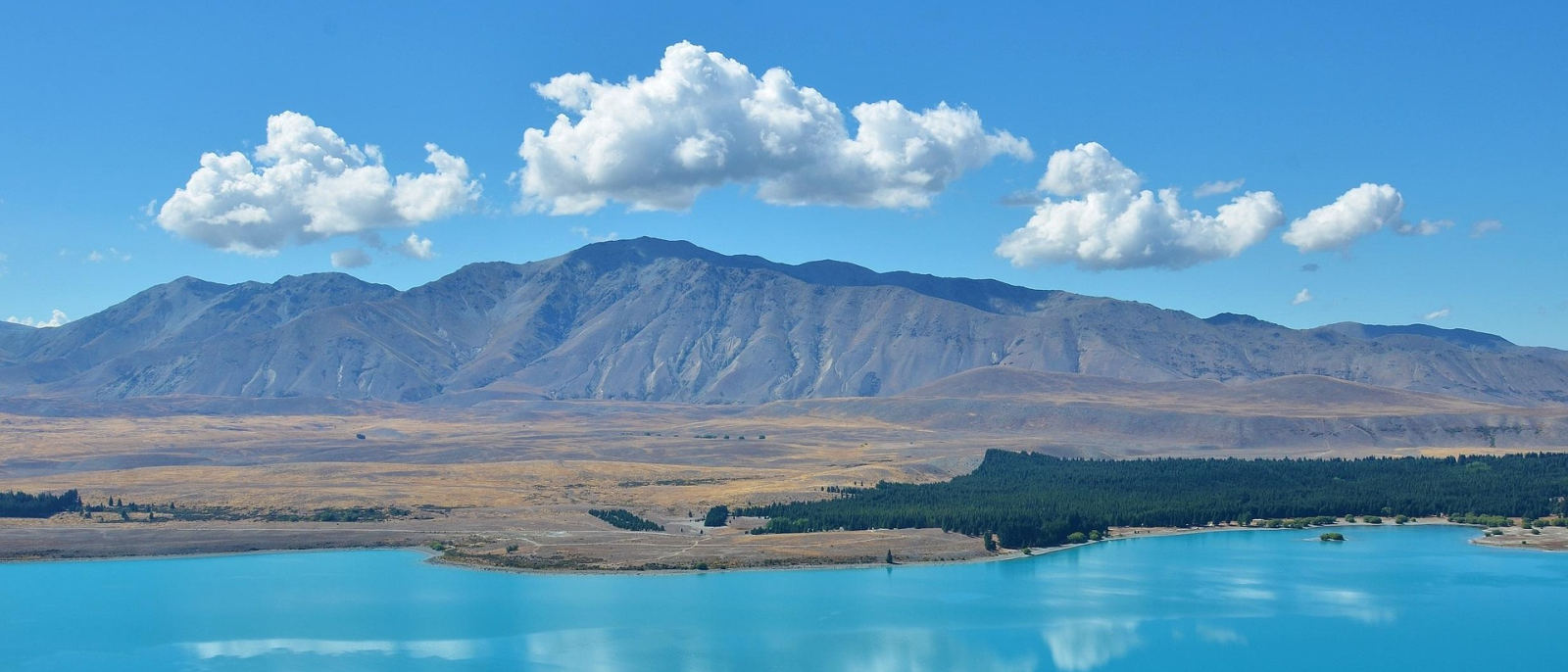 Nueva Zelanda