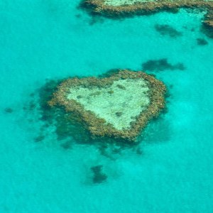 Gran Barrera corazon Australia