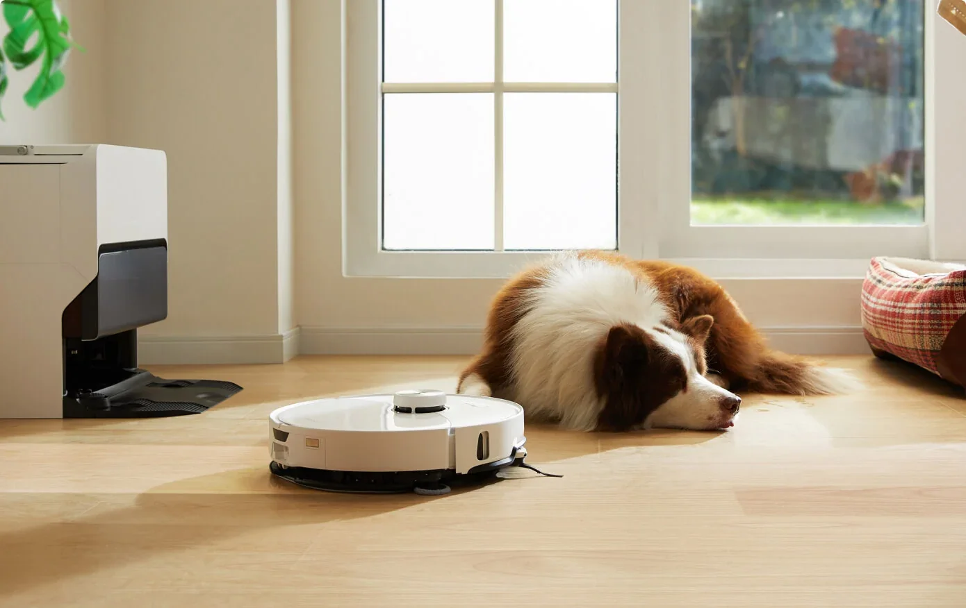 El Roborock S8 MaxV Ultra limpia cerca de un perro que duerme en el suelo
