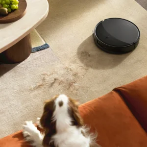 El Roborock Saros 20 limpia el salón mientras un perro descansa junto al sofá
